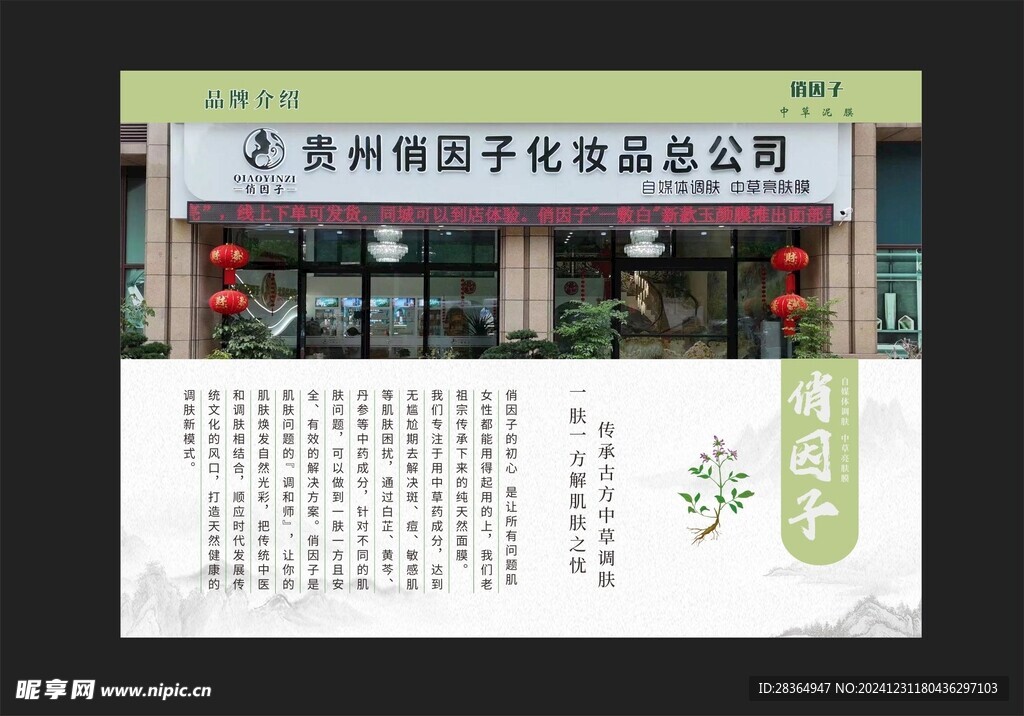 草药面膜画册