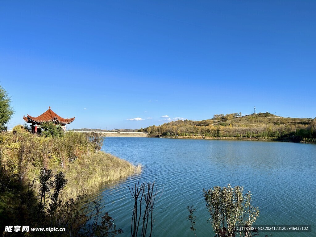 青海莲湖公园