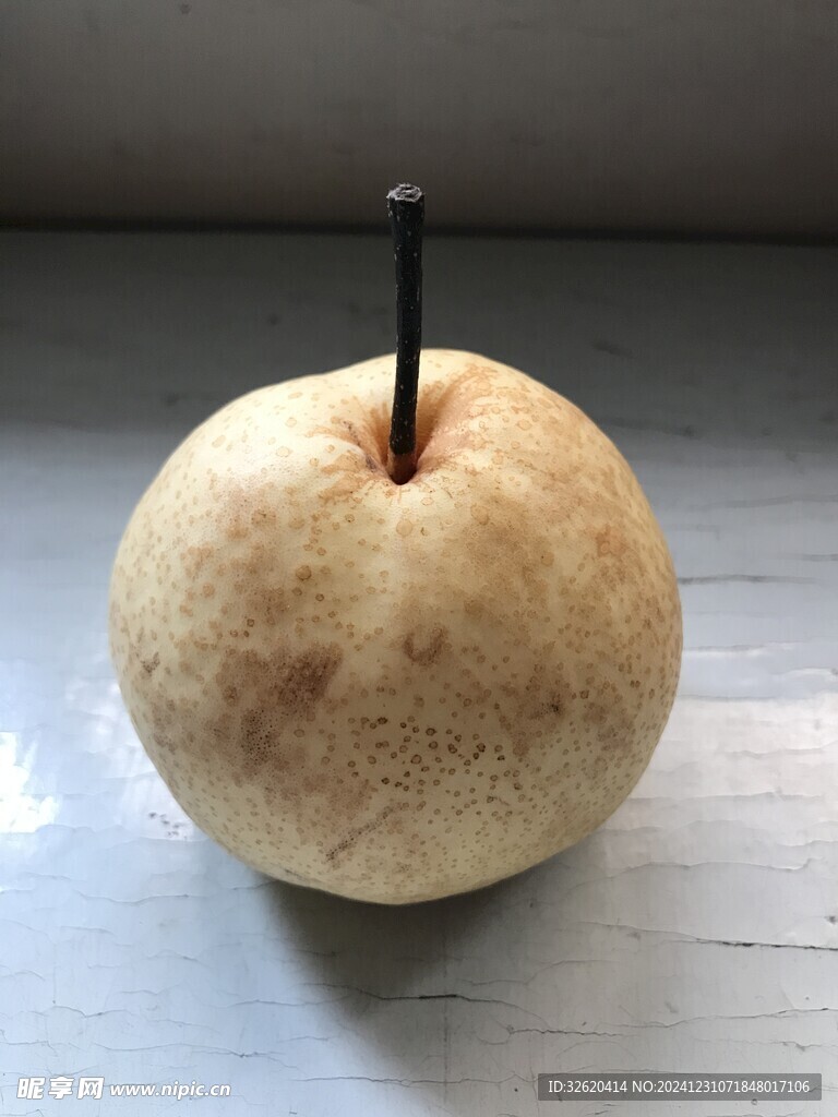 雪梨