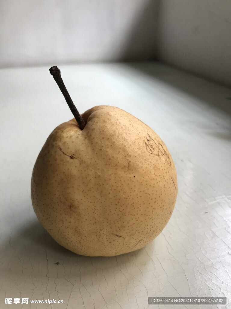 雪梨