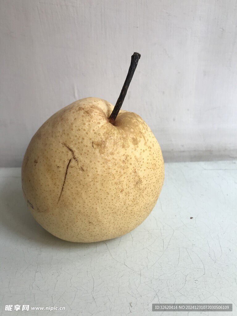 雪梨