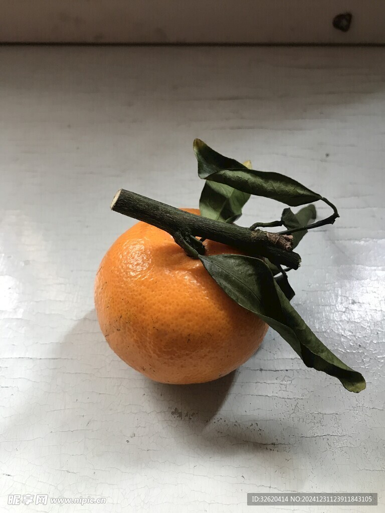桔子 橘子