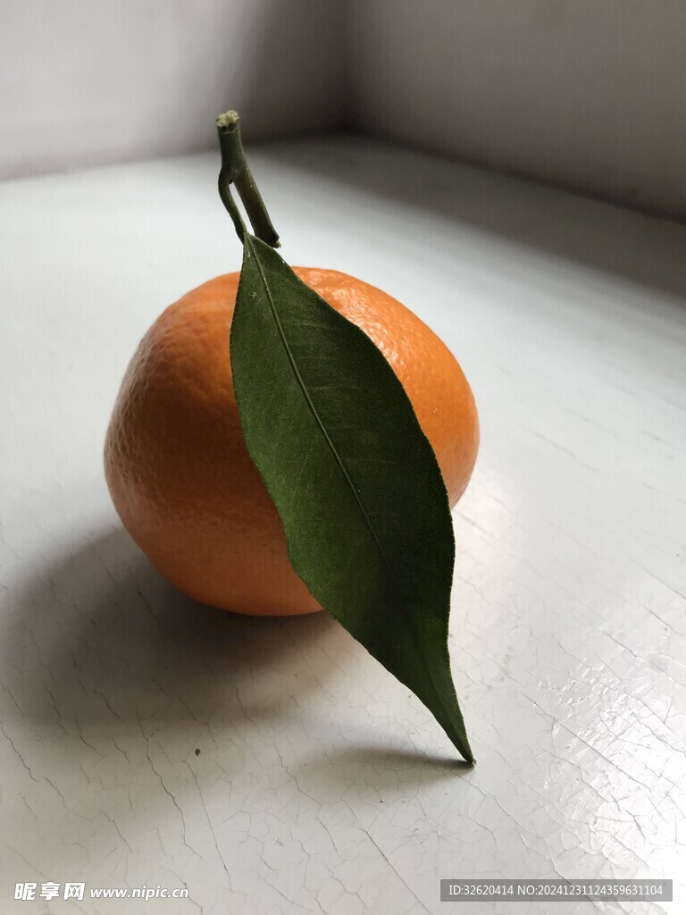 桔子 橘子