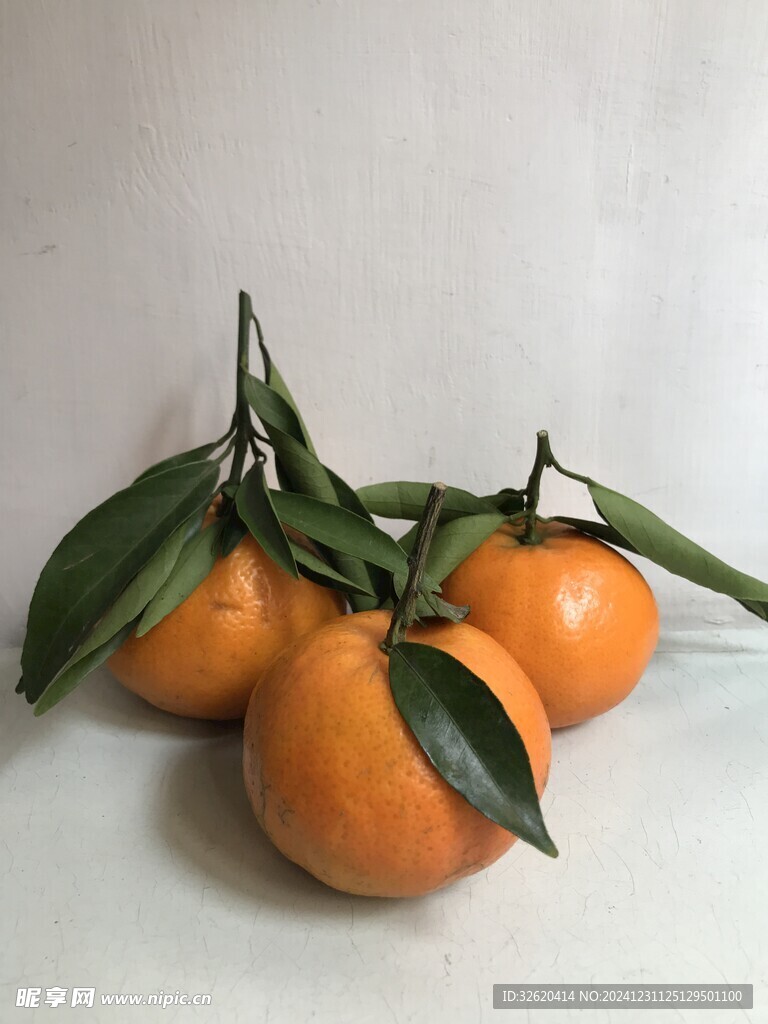 桔子 橘子