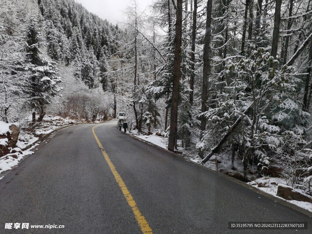 雪景