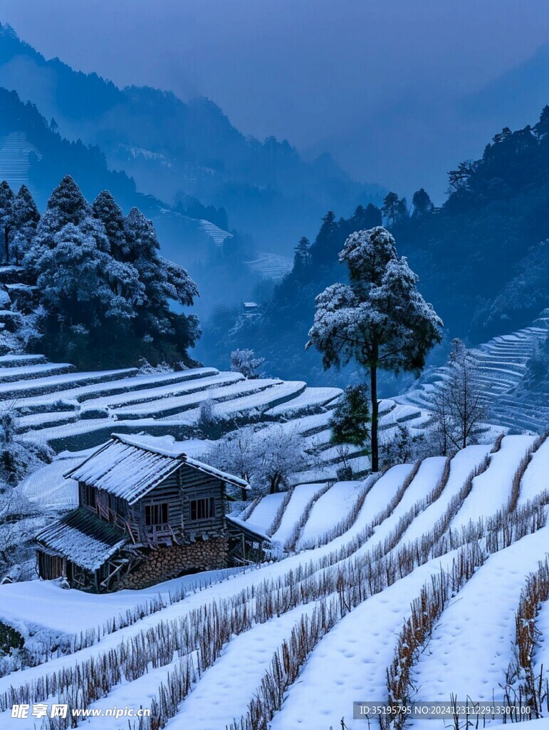 雪景