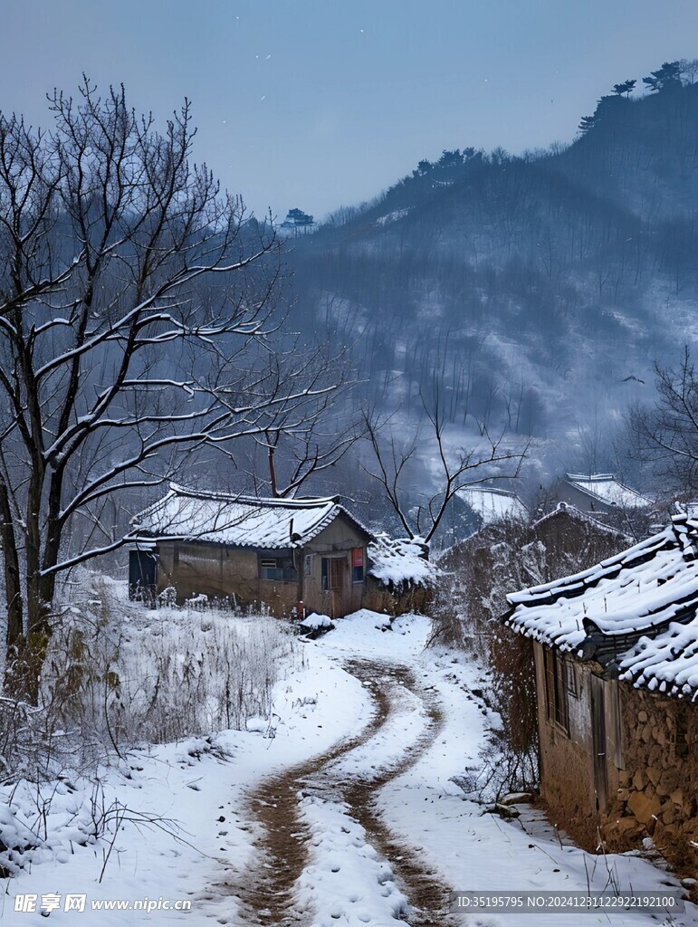 雪景