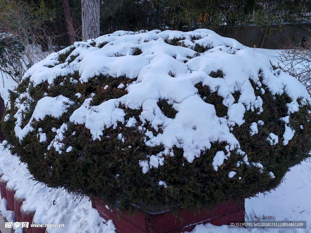 雪景