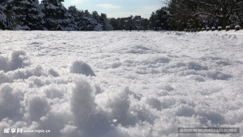 雪景