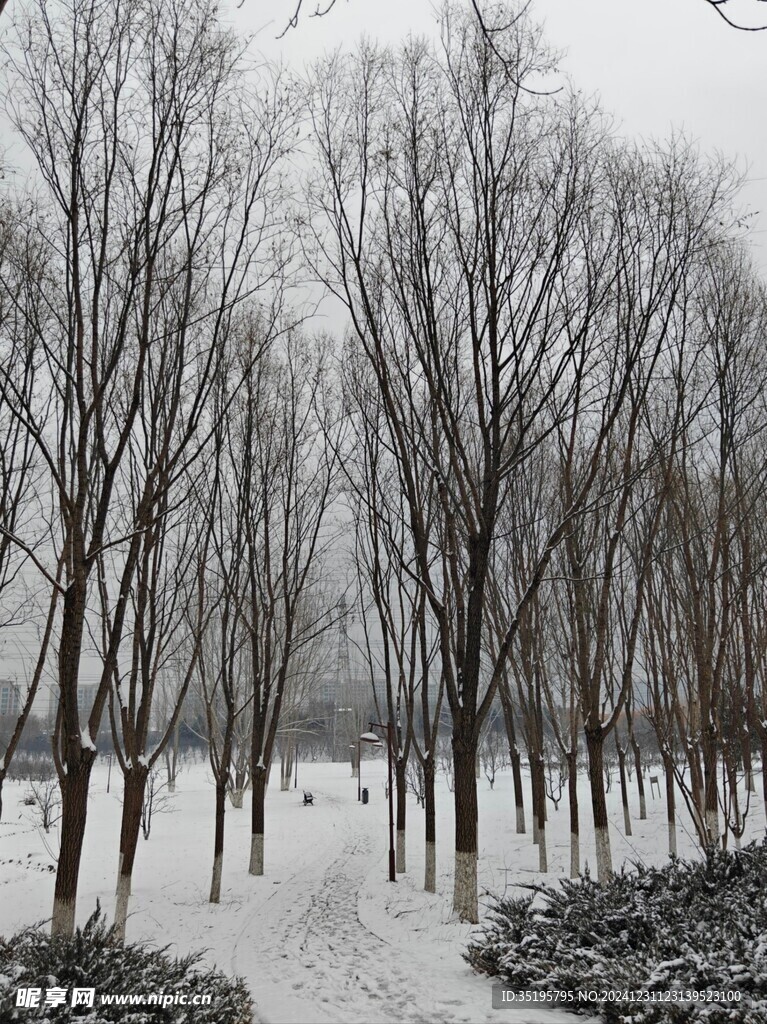 雪景