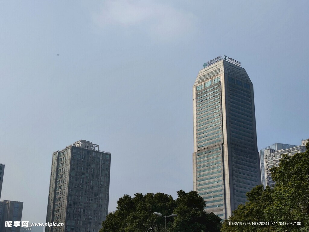 高楼大厦
