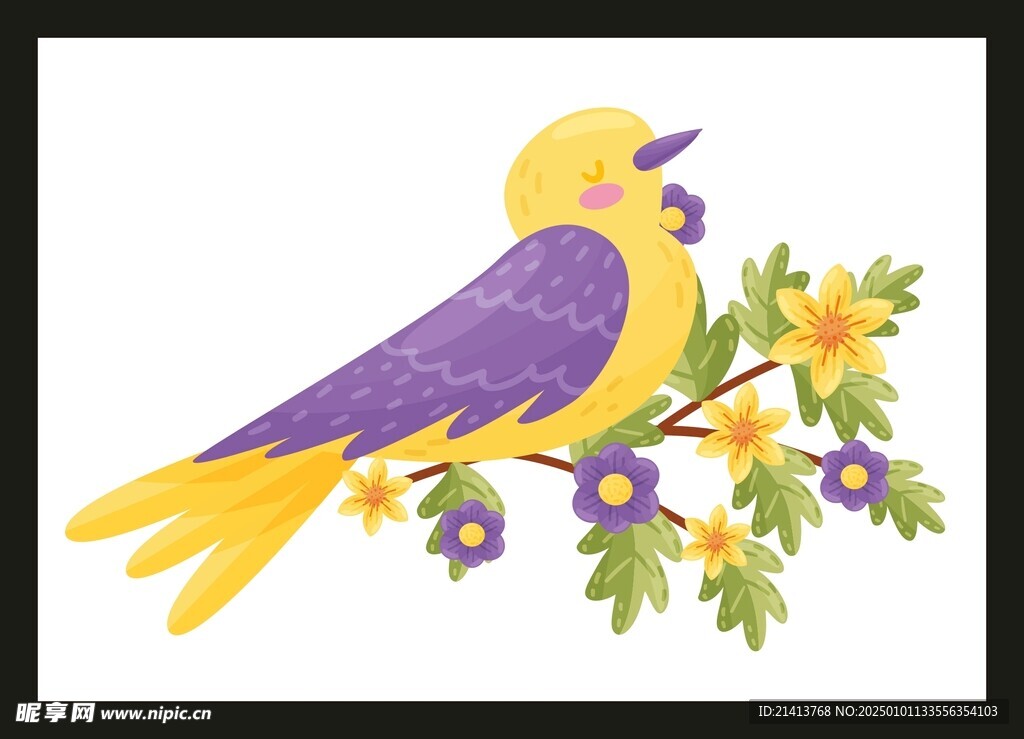 手绘小鸟鸟类