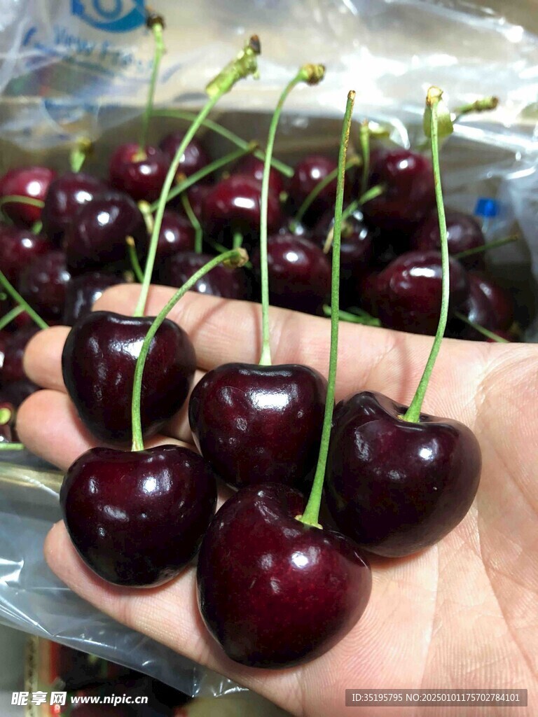 樱桃