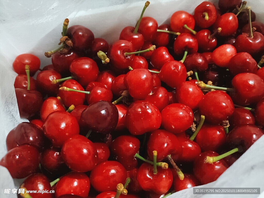 樱桃