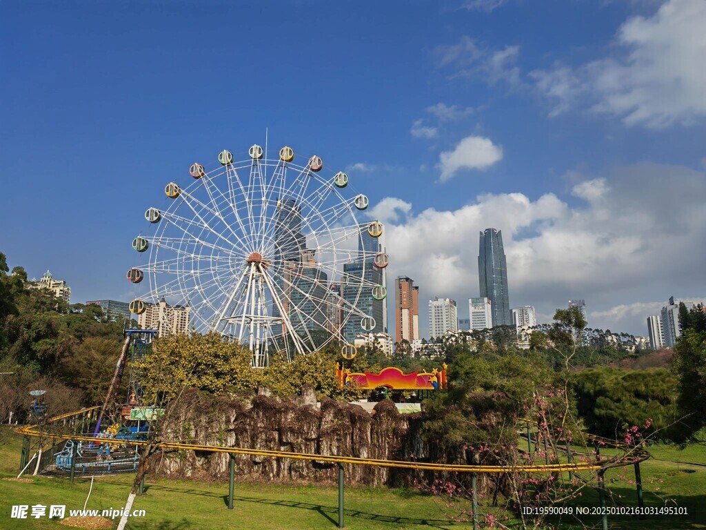 草坪摩天轮