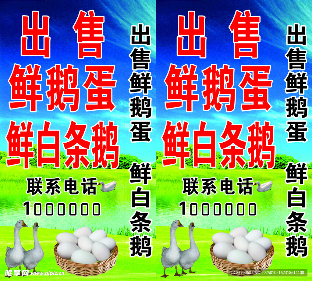 鹅