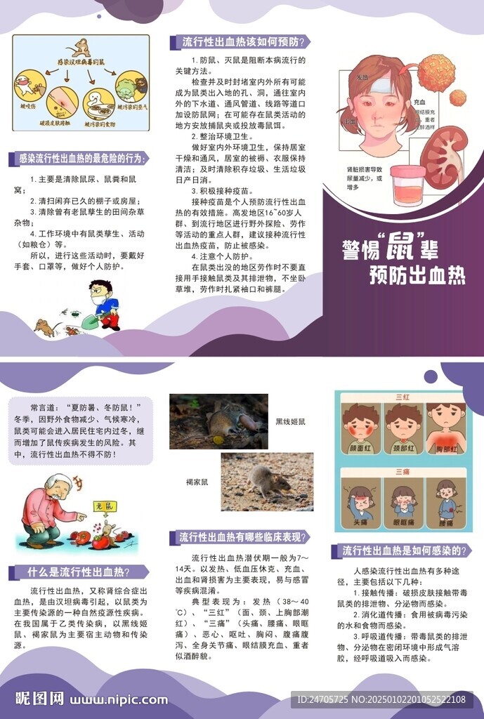 出血热
