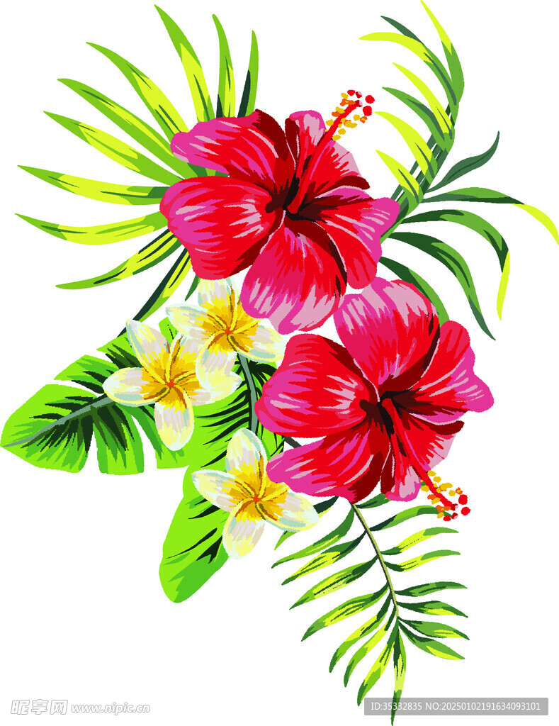 定位大花