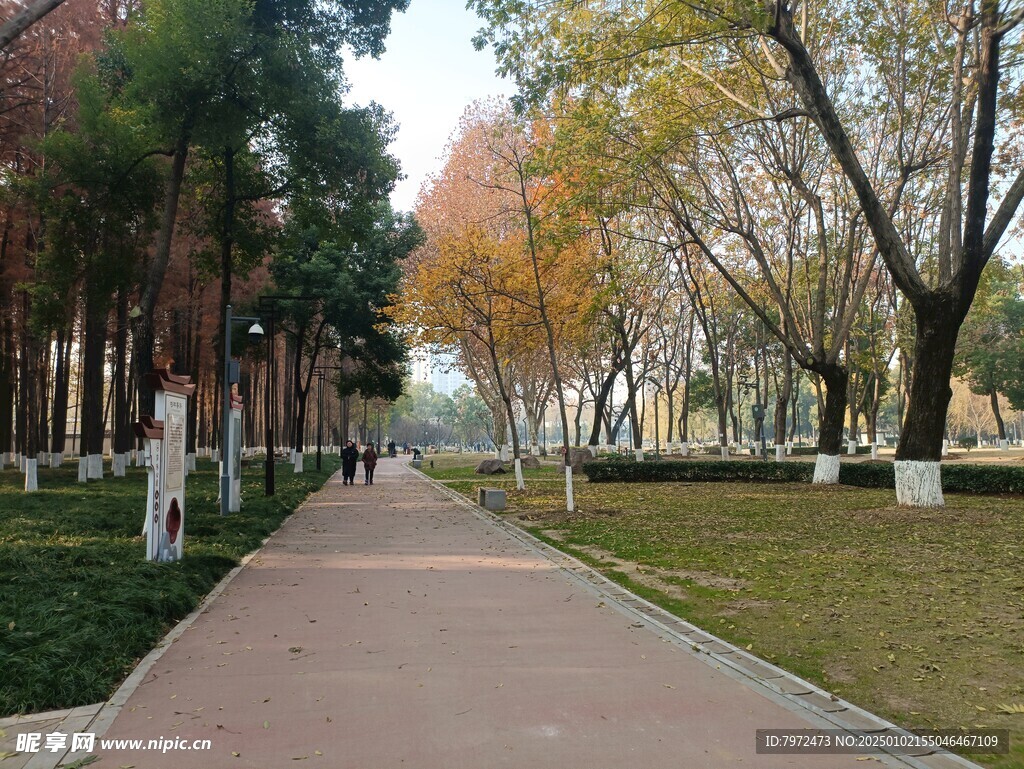 绿化景观