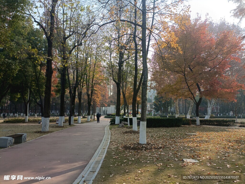 绿化景观