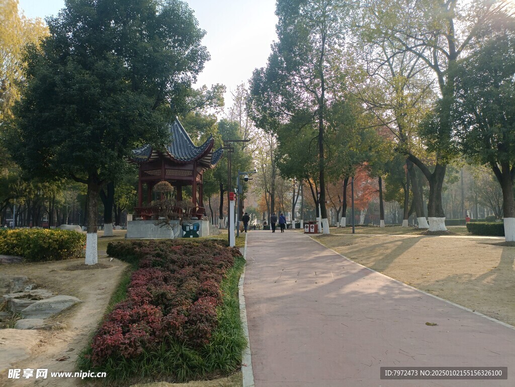 绿化景观
