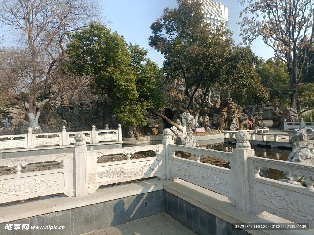 绿化景观