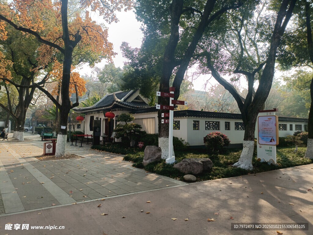 绿化景观