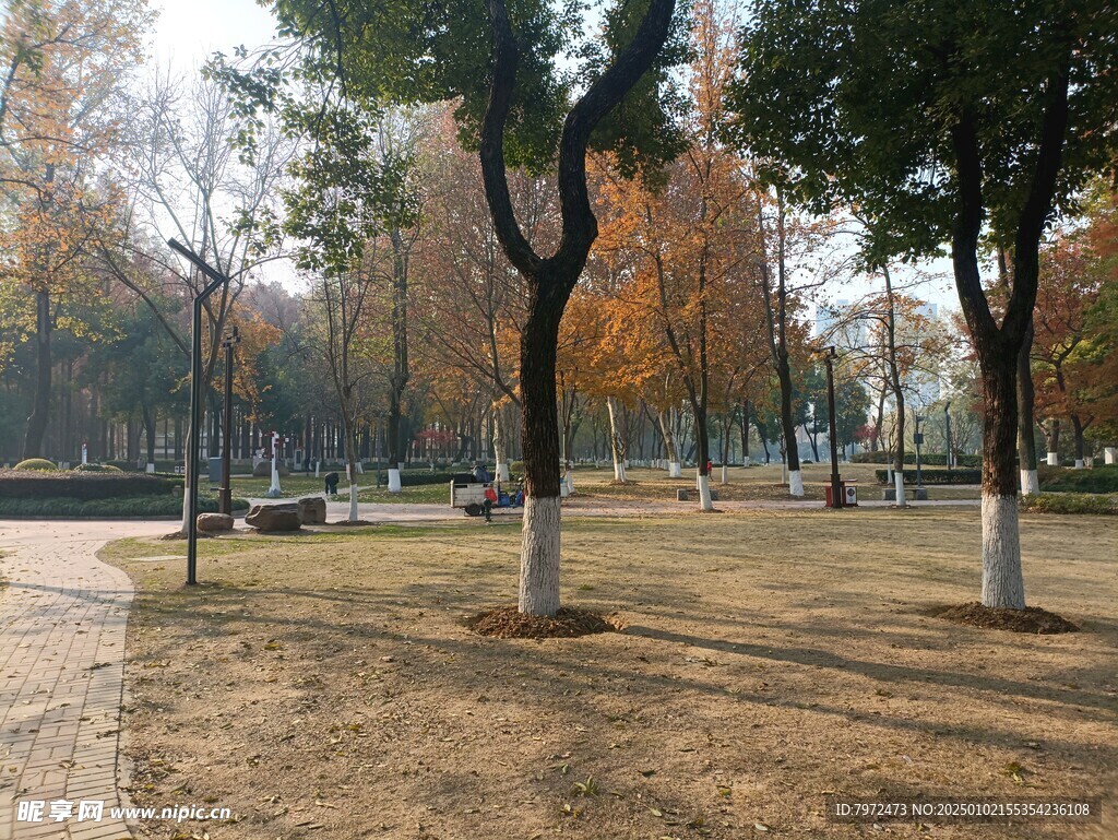 绿化景观