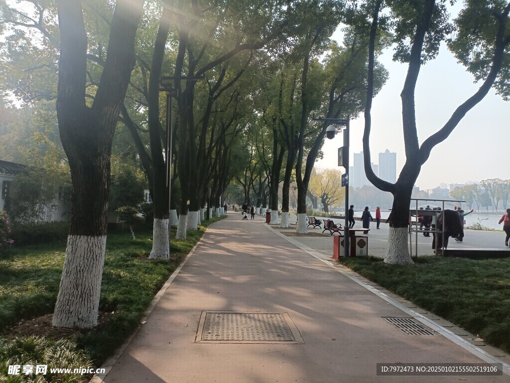绿化景观
