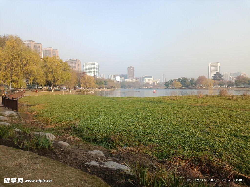 绿化景观
