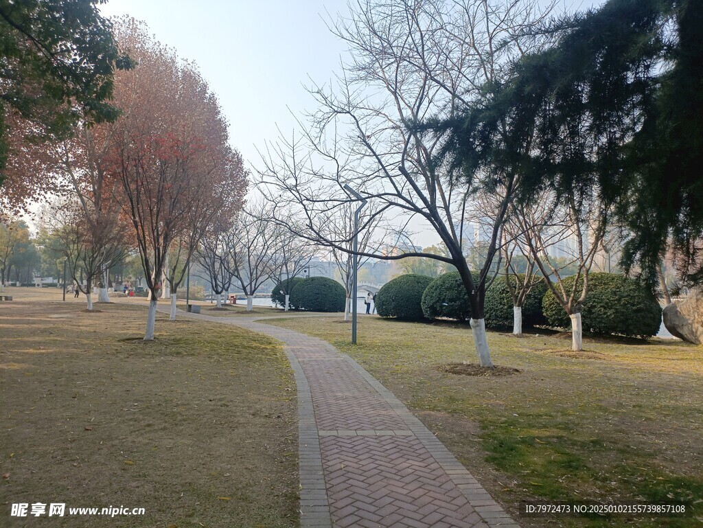 绿化景观