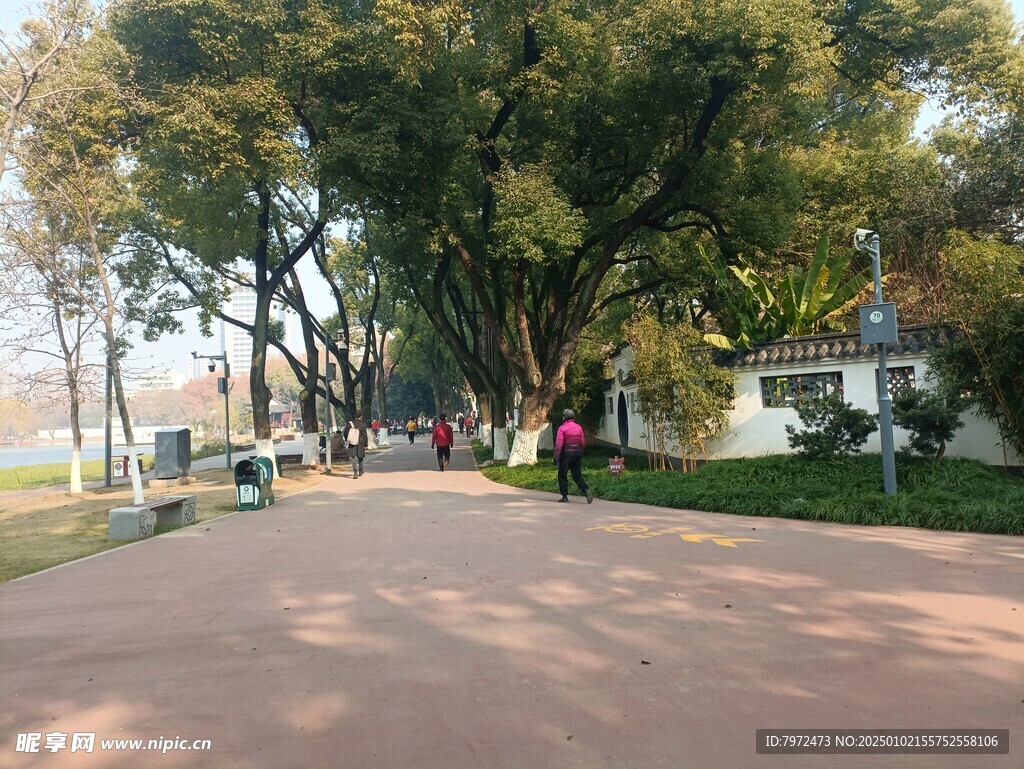 绿化景观