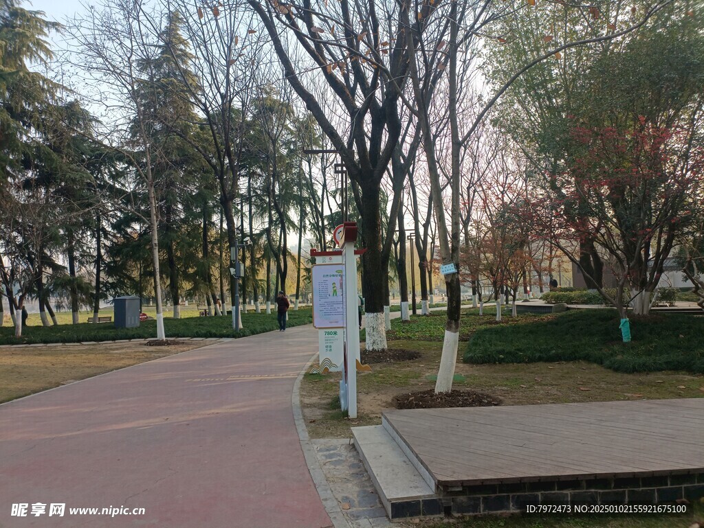绿化景观