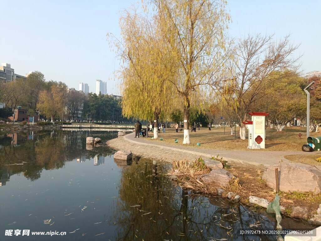水岸景观