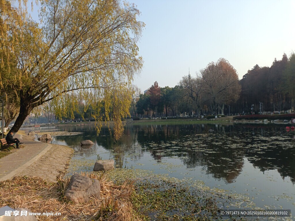 水岸景观