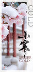 小寒海报