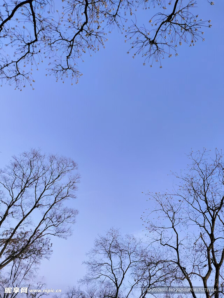 蓝天