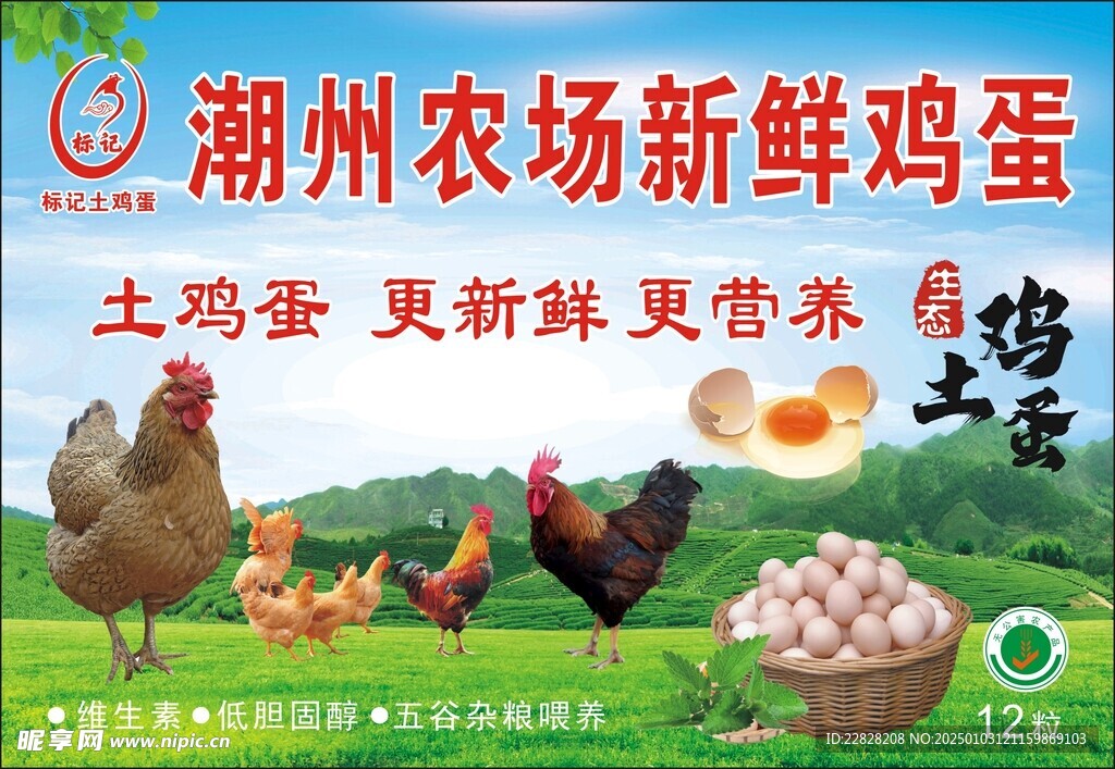 潮州土鸡蛋