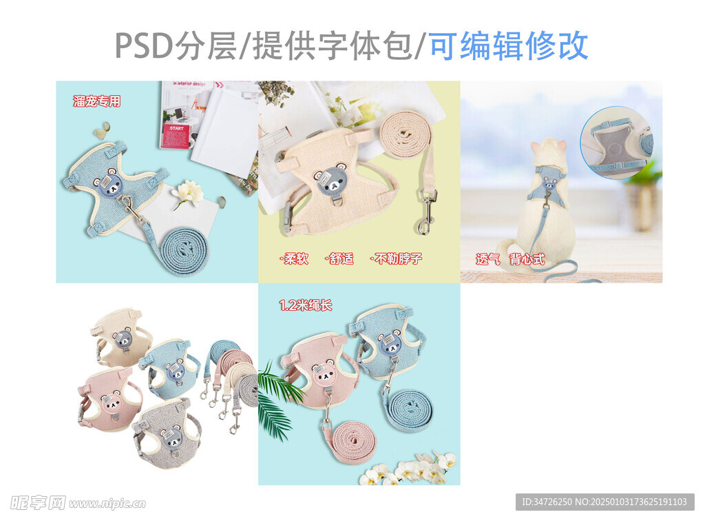 宠物牵引绳主图模板