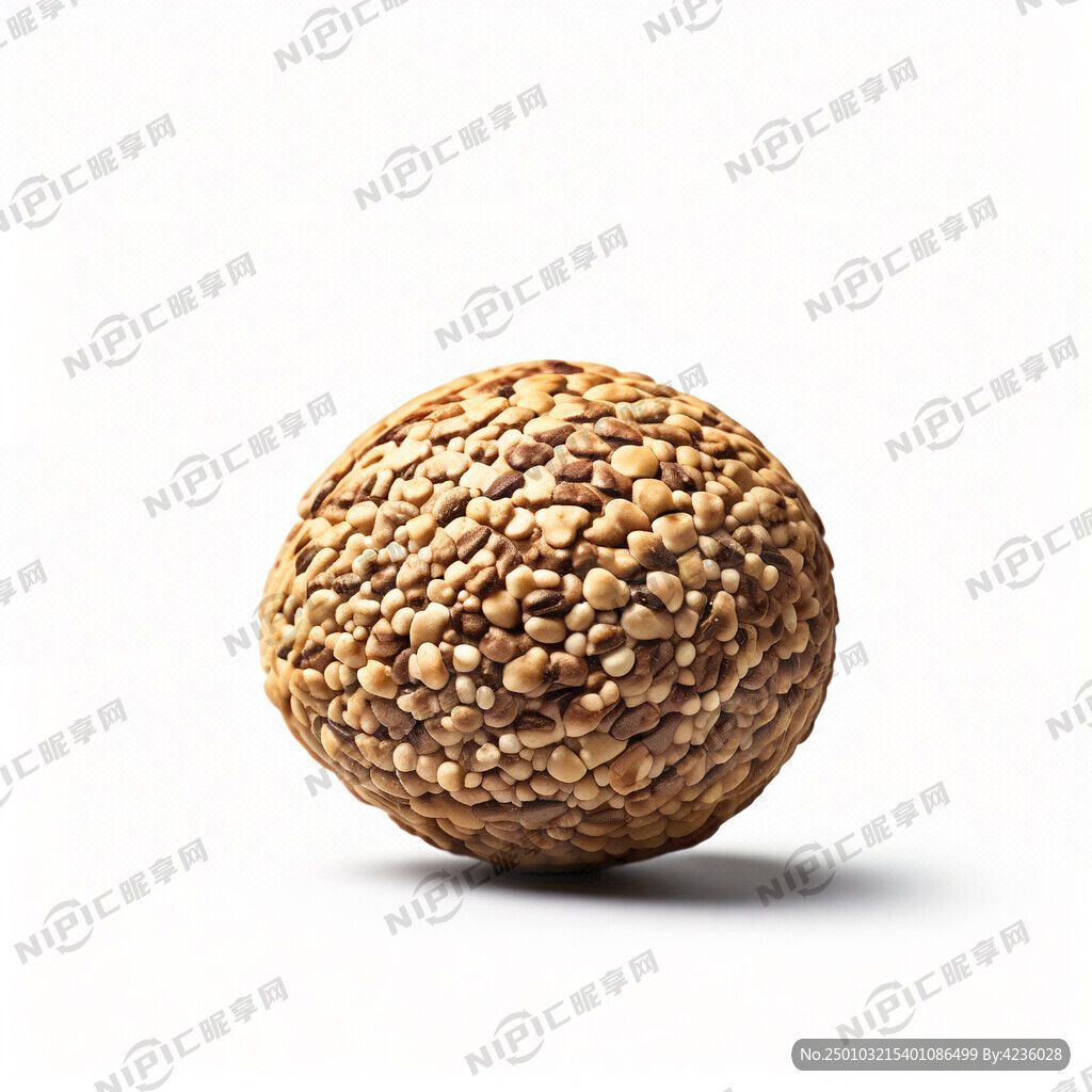 一只饱满的青稞  白色背景