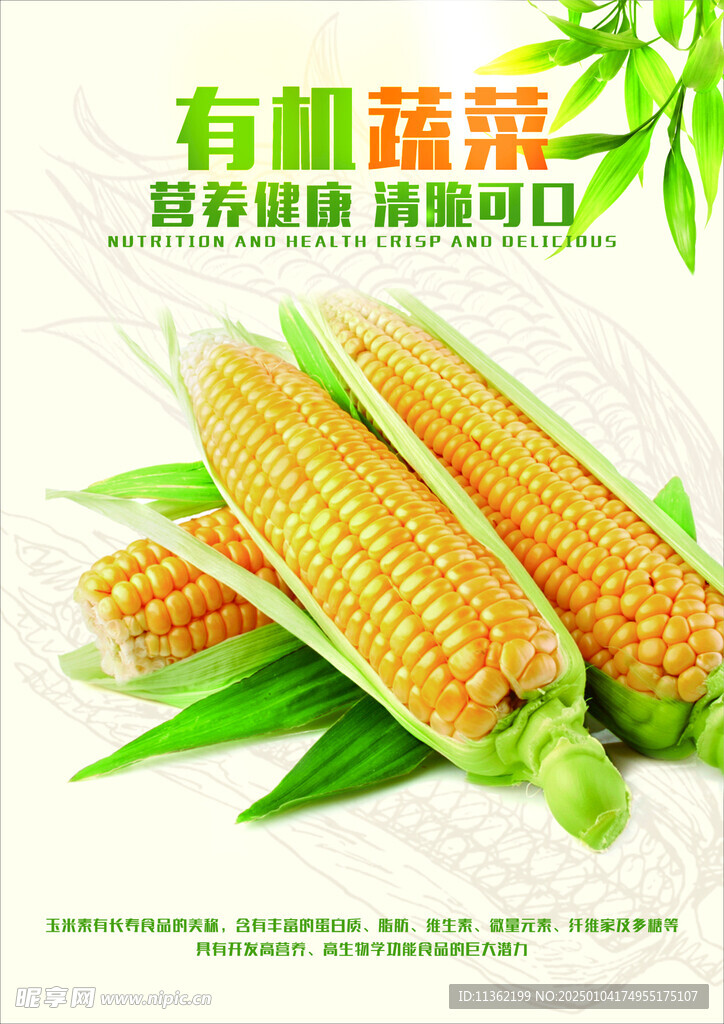 有机蔬菜