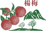 杨梅