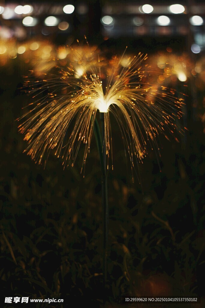 烟花  