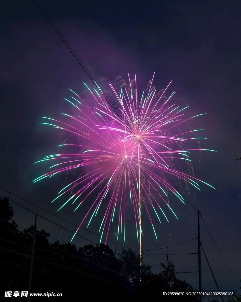 烟花  