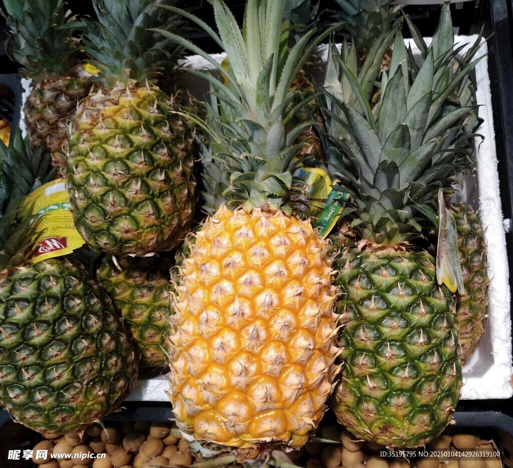 菠萝