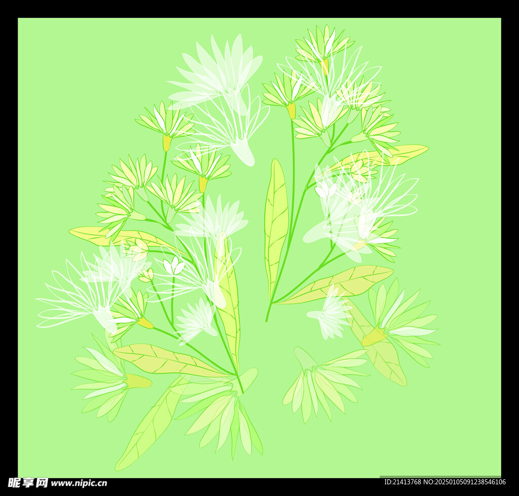 手绘花卉花朵 