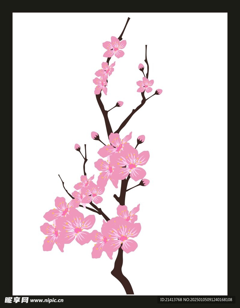 手绘花卉花朵 