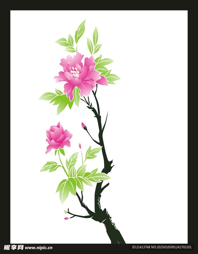 手绘花卉花朵