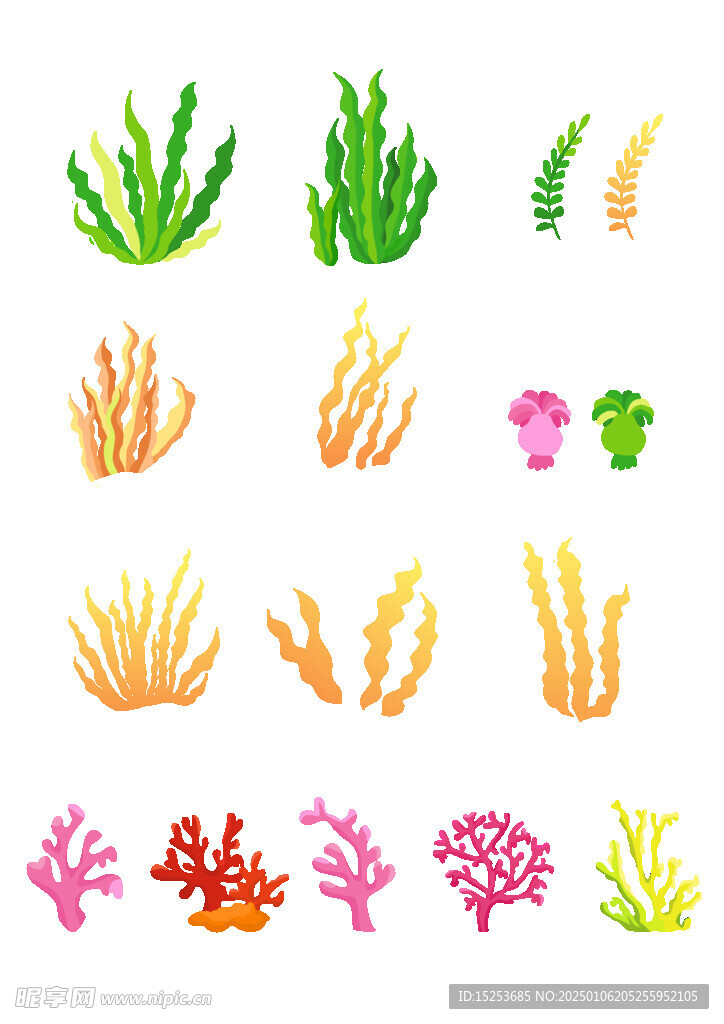 海洋植物