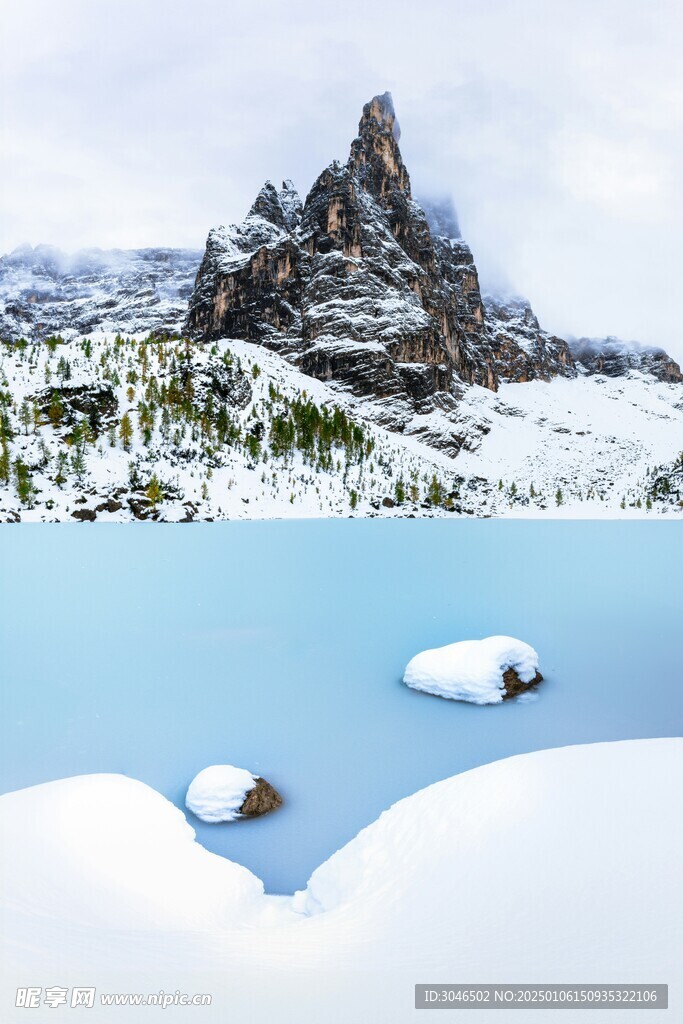 雪景雪山雪松